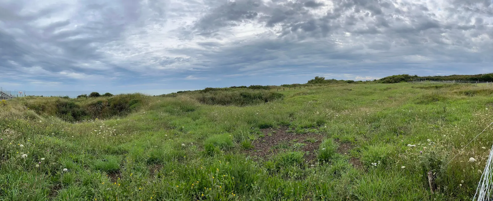The cratered clifftop at Pointe du Hoc, deep grassed-over shell holes stretching to the horizon under a summer sky.